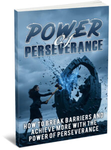 Power of Perseverance book